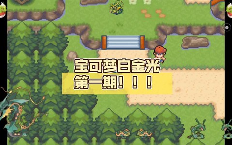 口袋妖怪白金光垂暮市道馆怎么走