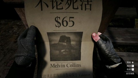 荒野大镖客2被通缉怎么办[图2]